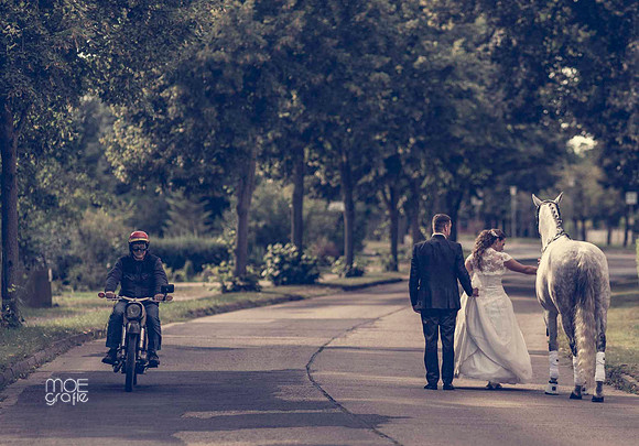 083-hochzeit-sylvie-marco-set-1-pferd-0555