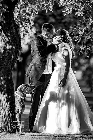 083-hochzeit-sylvie-marco-set-4-doggarden-0661
