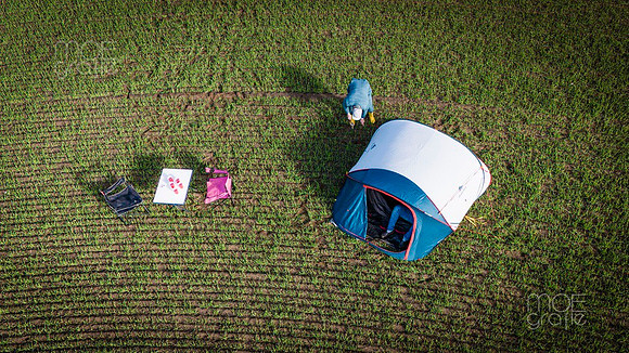 110-anne-flo-Set 3-festival-field-3575