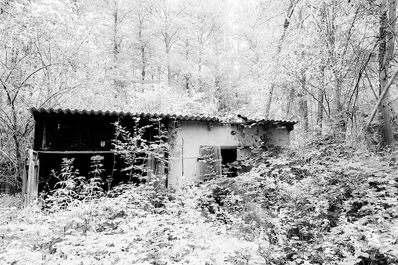 114-soroush-praktikum-030