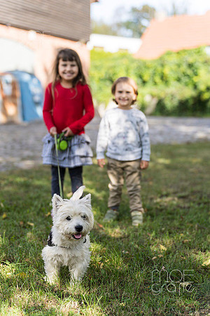 Hochzeit-Henriette-Stephan-Eisleben-005