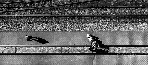 14 - 031-susanne-elli-ruegen-trauung-0354
